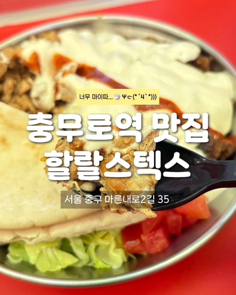[충무로역 맛집] 뉴욕 스트리트 푸드 스타일의 할랄 음식! 할랄스택스 충무로점 포장 혼밥 후....