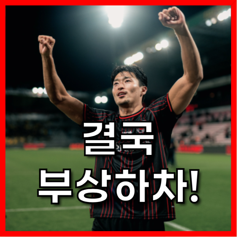 조규성 모레노호 중도 하차 충격, 무리수 피한 사령탑의 결단과 9번의 미래
