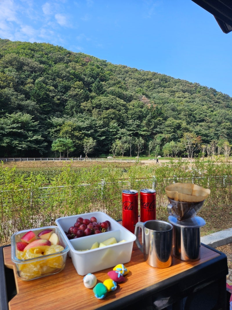 [서울근교 차크닉 성지/서울근교 차박/경기도 용인 차크닉 차박/서울근교 무료 노지 차크닉] ....