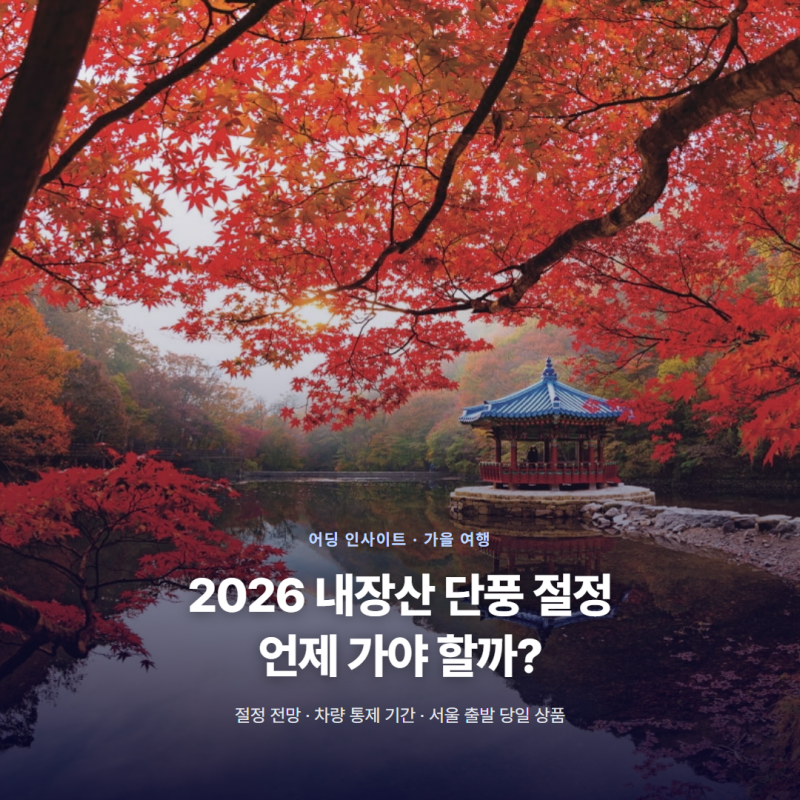 내장산 단풍 절정 언제? 차량 통제 기간과 당일 버스투어 추천