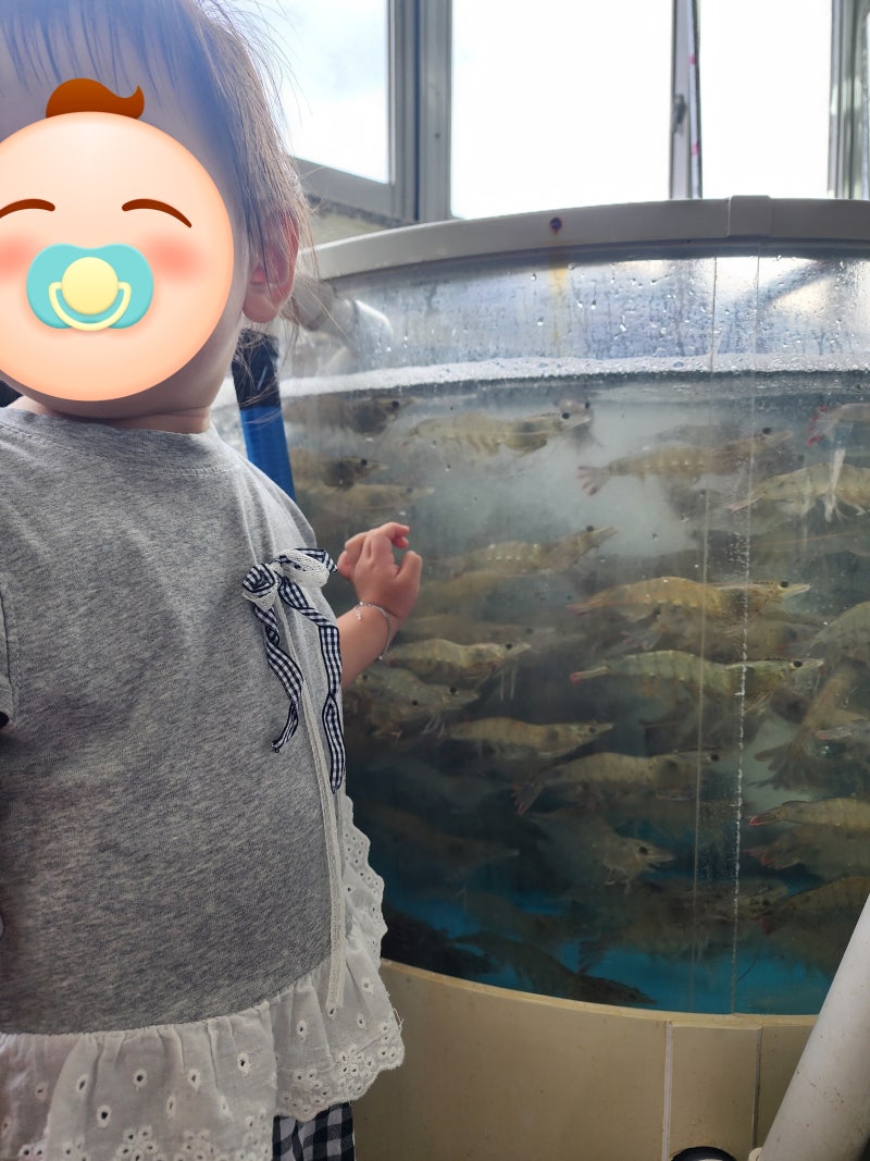 [홍성 남당항 대하축제 & 남당항 해양분수공원 분수광장] 아이랑 방문기 | 5세·3세 메뉴, 가을....