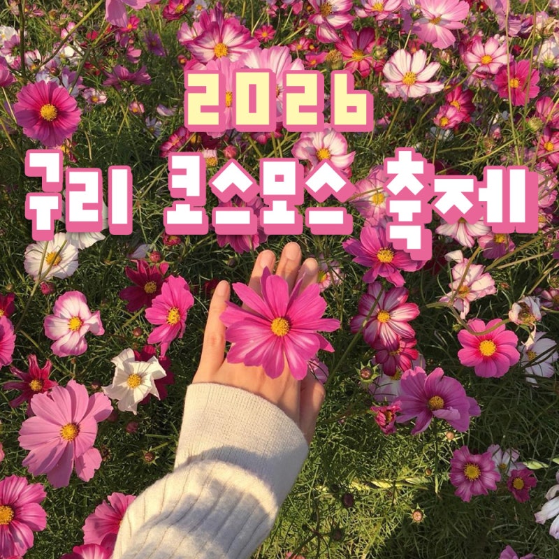 2026 구리 코스모스 축제 일정｜10월 구리 가볼 만한 곳, 마지막 날 불꽃쇼까지