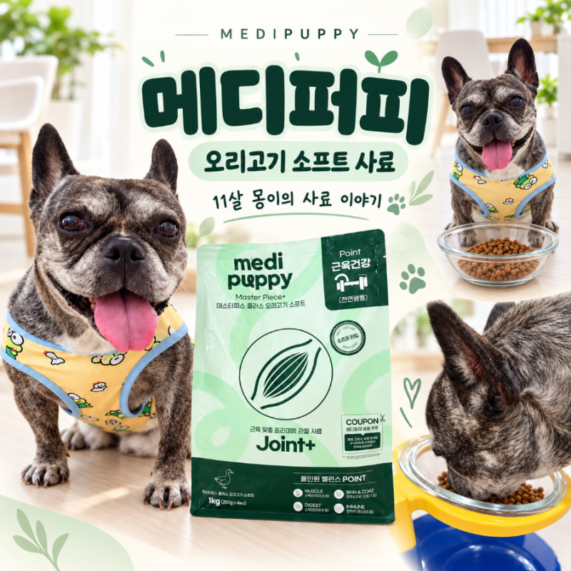 노령견 소프트사료 메디퍼피 | 관절 근육 건강 챙기는 강아지사료