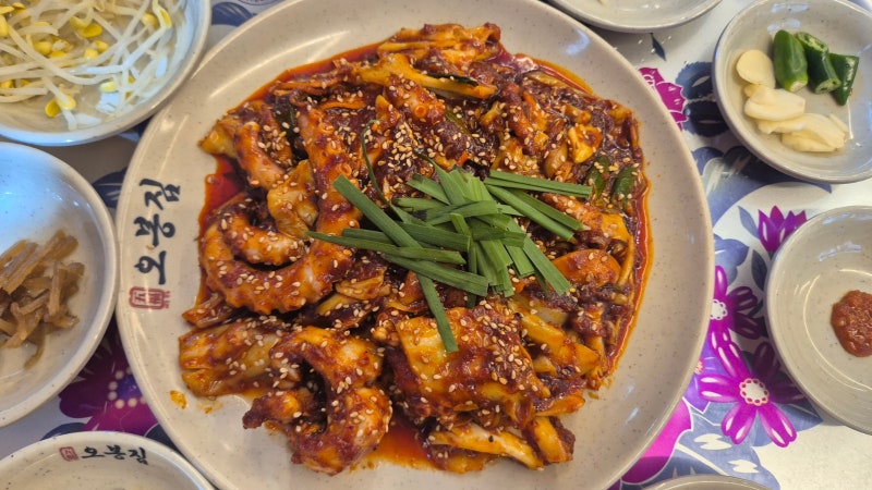 삼성역 맛집 오봉집 삼성점｜코엑스 아쿠아리움 근처 낙지볶음 보쌈 맛집
