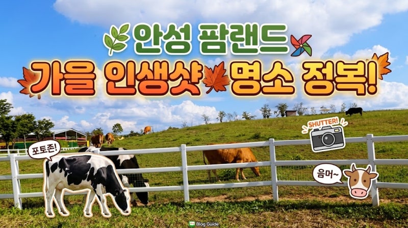 [경기도 안성 가볼만한곳] ✨ 안성팜랜드 핑크뮬리부터 근처 맛집·저수지 뷰 대형카페까지 p....
