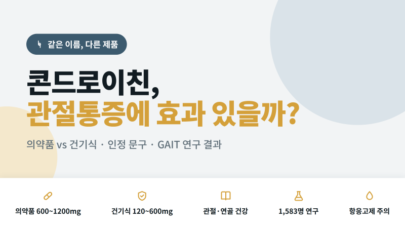 콘드로이친 관절통증에 효과 있을까? 의약품과 건기식 차이·인정 문구·연구 결과 총정리