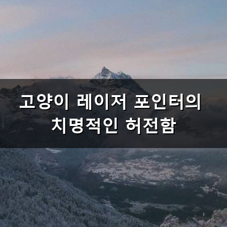 고양이 레이저 포인터 왜 사냥 놀이할 때 허전해할까