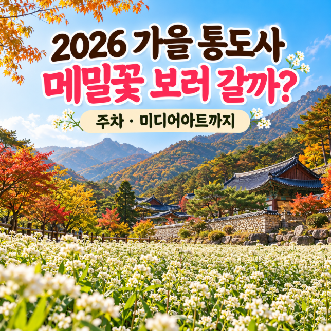 2026 양산 통도사 가볼만한곳, 메밀꽃·국가유산 미디어아트 주차 총정리