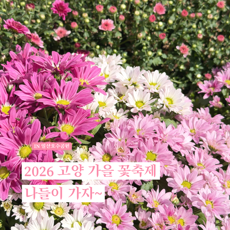 2026 고양 가을꽃축제 일산호수공원 기본정보 일정 입장료
