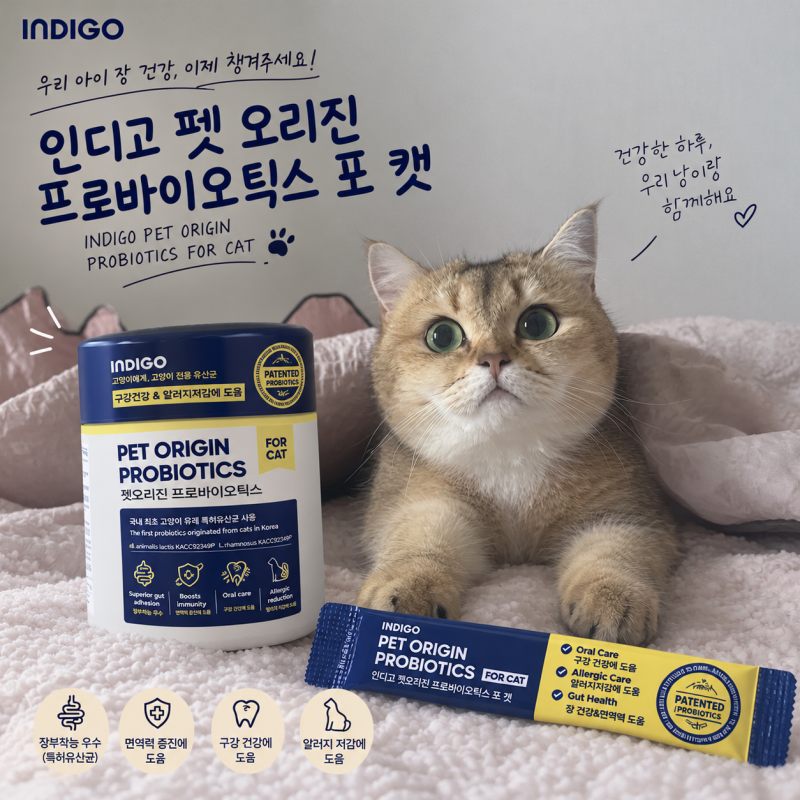 고양이 유산균 추천 인디고 펫 오리진 프로바이오틱스 포 캣