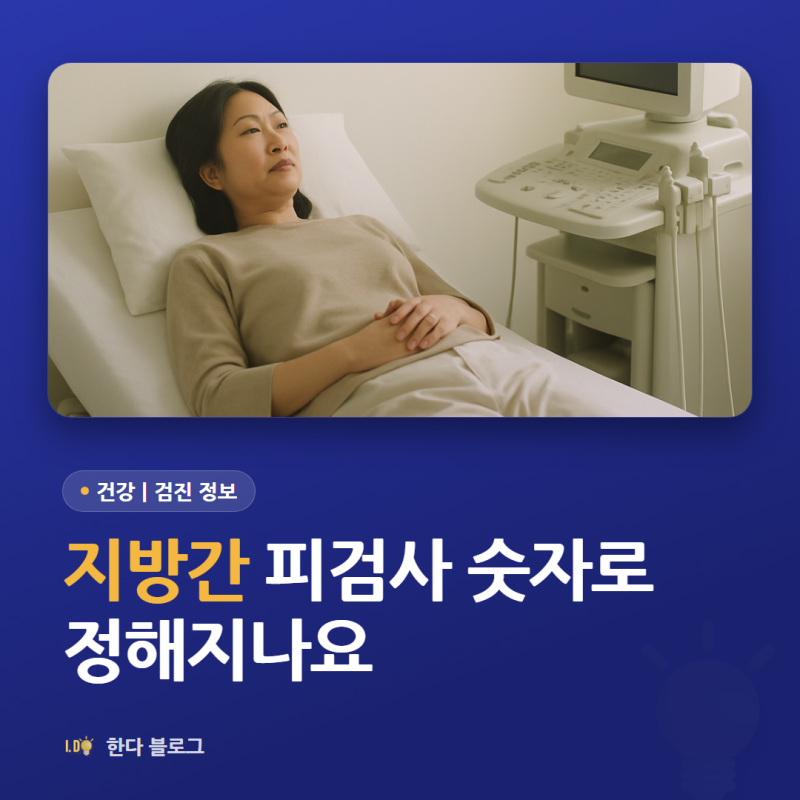 지방간 수치, 어느 정도부터 높다고 보나요 (초음파·간수치 · 2026년)