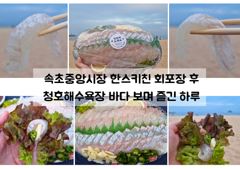 束草中央市場の刺身持ち帰り「ハンスキッチン」で大きなヒラメをテイクアウトして海辺で食べたレビュー