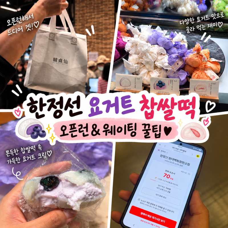 한정선 요거트 찹쌀떡 판교 현대백화점｜웨이팅 꿀팁·대기시간·오픈런 후기