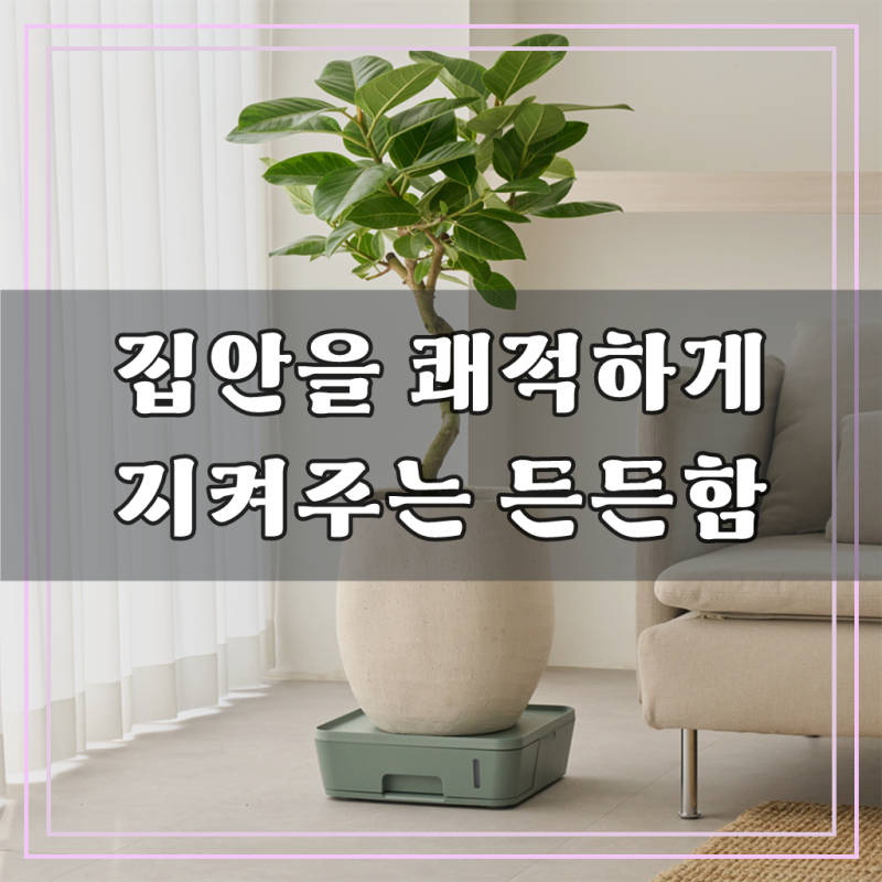 트리저브 3L 물 넘침 걱정없는 인테리어 대형 화분 받침대 물받이 사각, 스퀘어_그린, 1개
