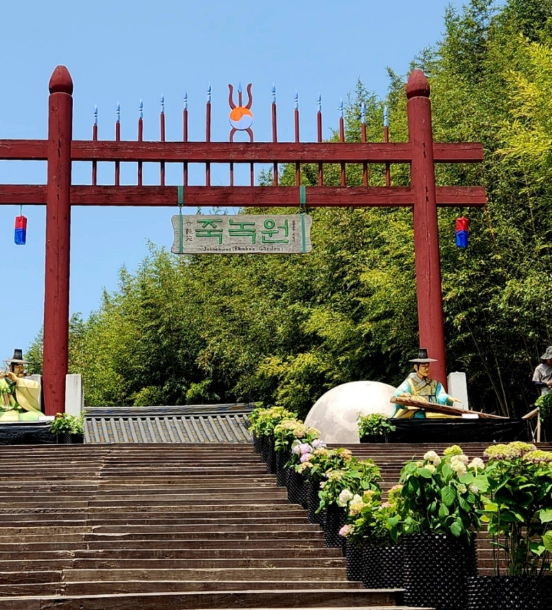 A Walk Through Juknokwon Bamboo Forest in Damyang, Jeollanam-do and Gwangju