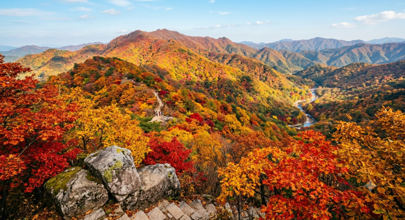 10월 단풍 등산코스 7선 소요시간·난이도 총정리 (지도 포함)