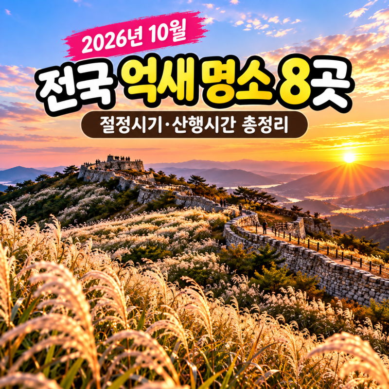 전국 억새 명소 8곳, 10월 절정시기·산행시간 총정리