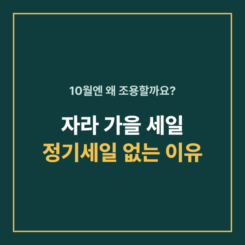 자라 가을 세일 다음은 11월? 12월 겨울 세일까지 할인 기간 총정리