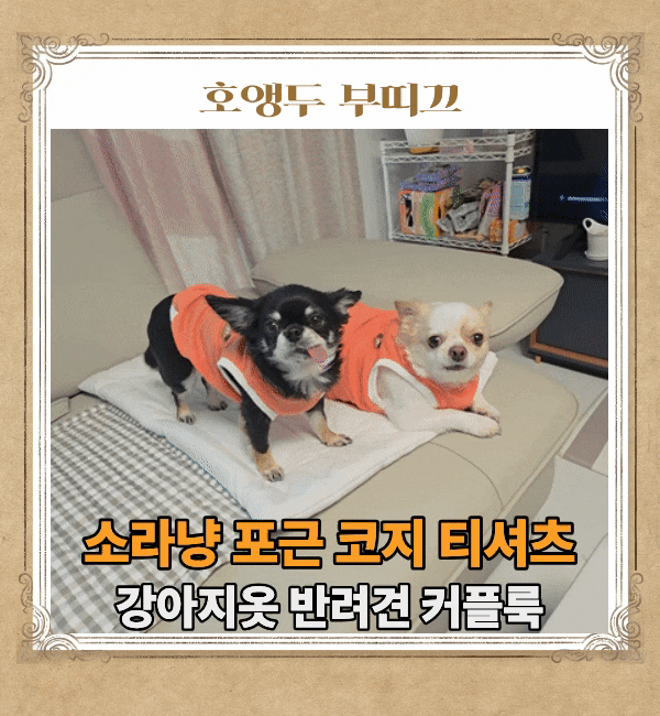 강아지옷 추천 소라냥 포근 코지 티셔츠 반려견커플룩