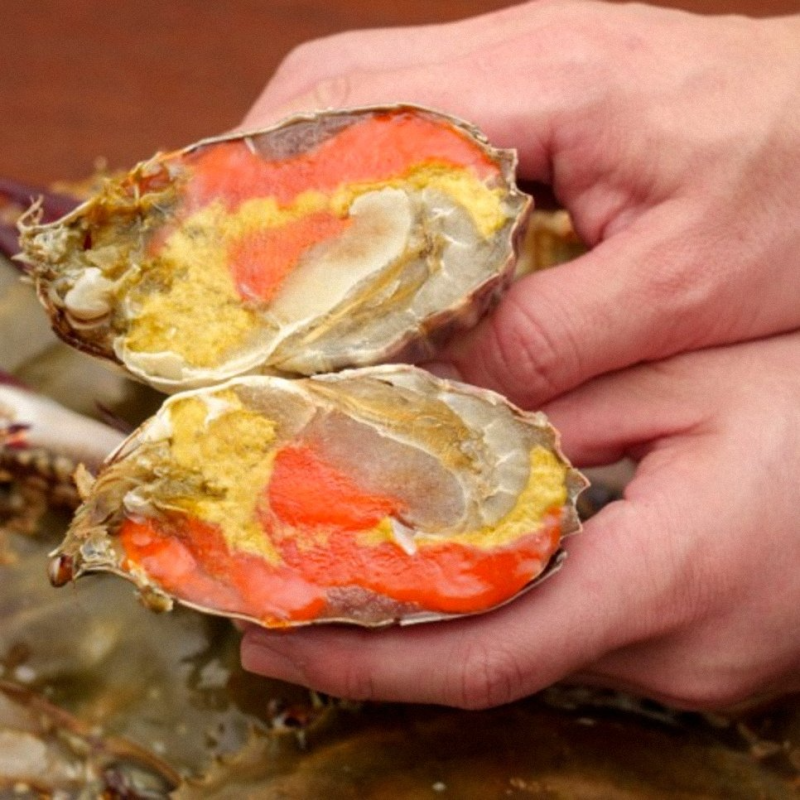산지직송 급냉 암꽃게 1kg 후기, 신선함과 수율을 꼼꼼하게 따져본 후기