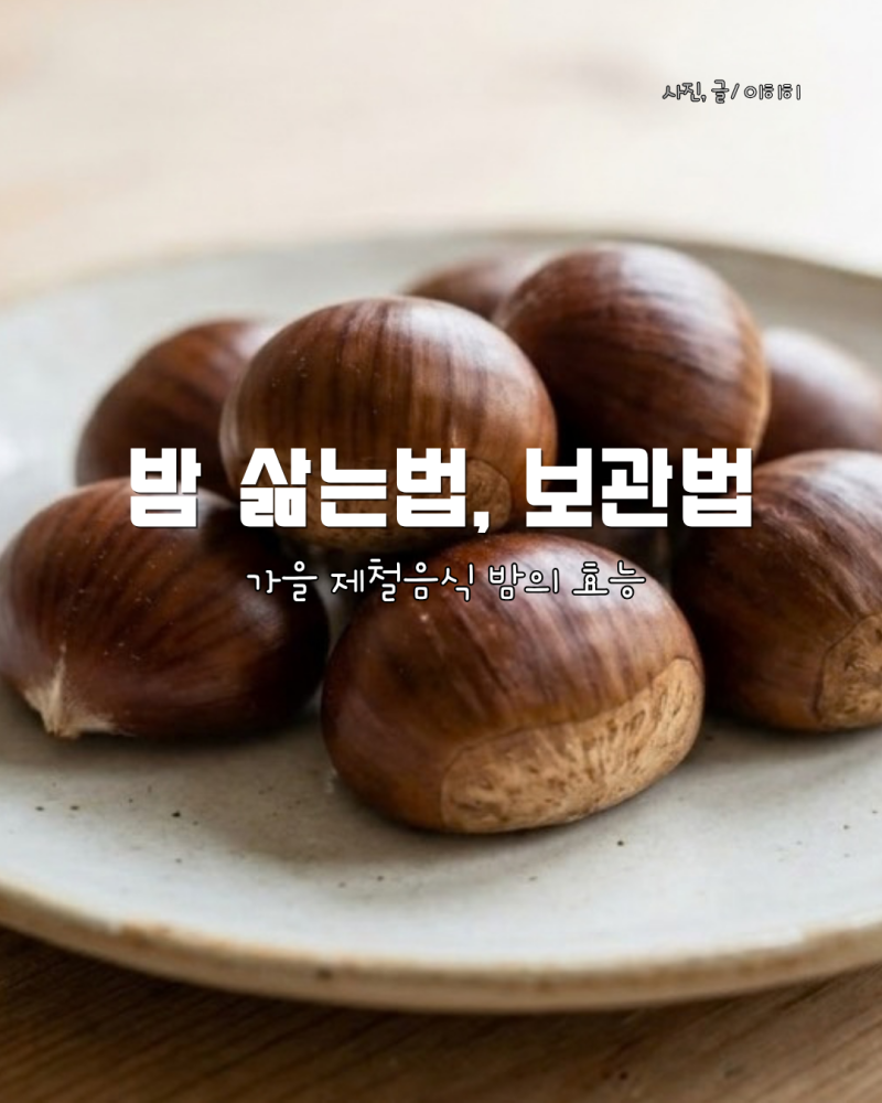 가을 제철 음식 밤 삶는 방법과 밤 보관법 및 밤의 효능