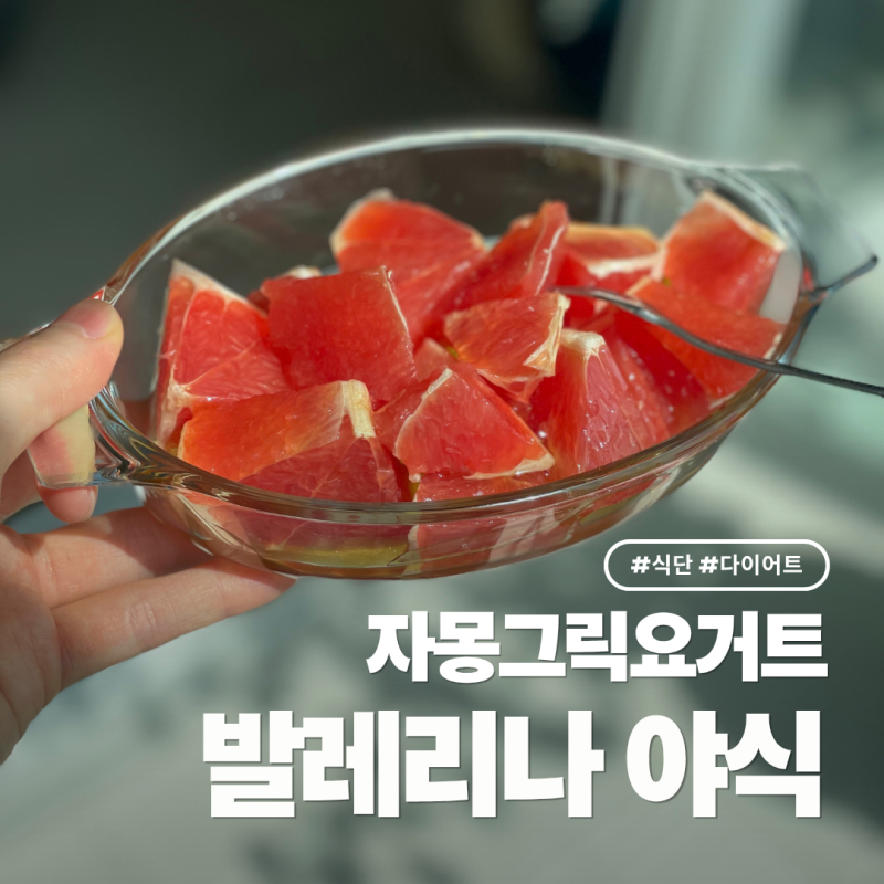 유청분리기로 자몽 그릭요거트 발레리나 야식 만들기