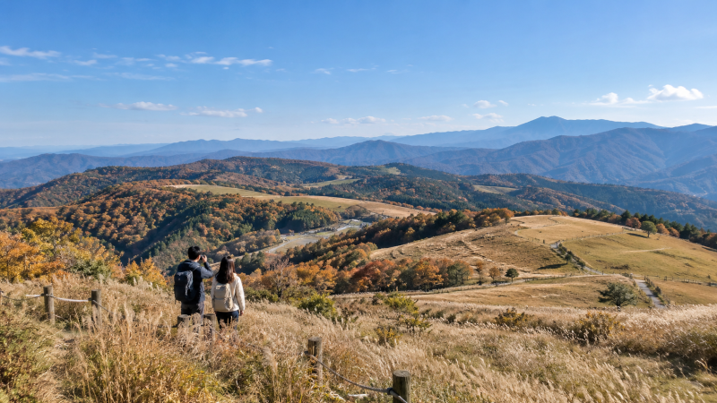 강원도 가을여행 1박2일｜평창 단풍부터 강릉 바다까지