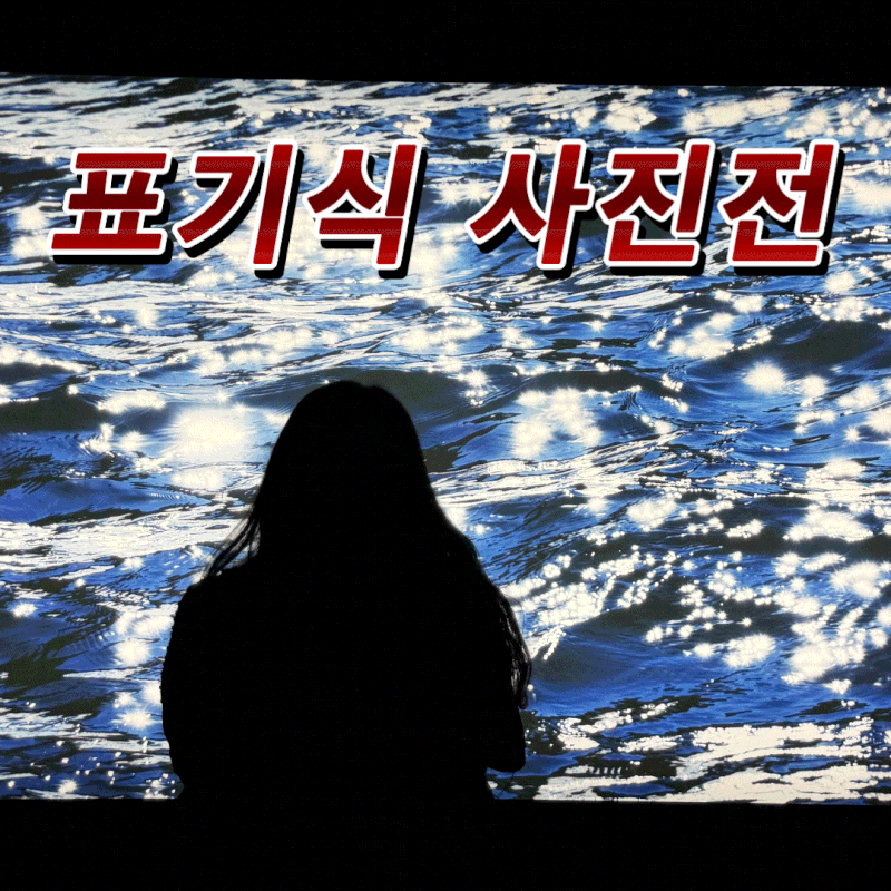 9월 전시회 추천｜표기식 사진전: 빛은 어떻게 떨어졌길래 모두 다르게 반짝여서 (사진스압,....