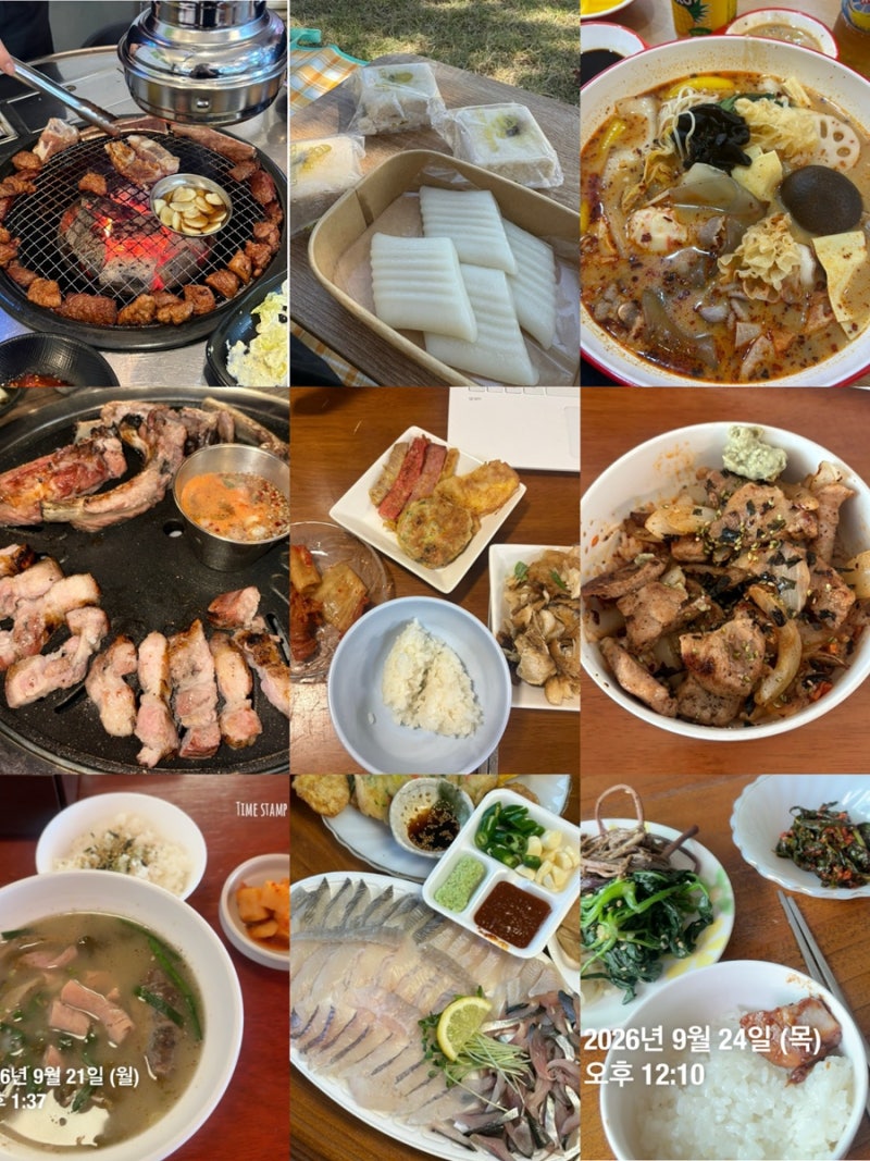 마운자로 2단계 2주차 후기｜-1kg감량 59.95kg | 부작용 탈모•컨디션 저하•무기력증
