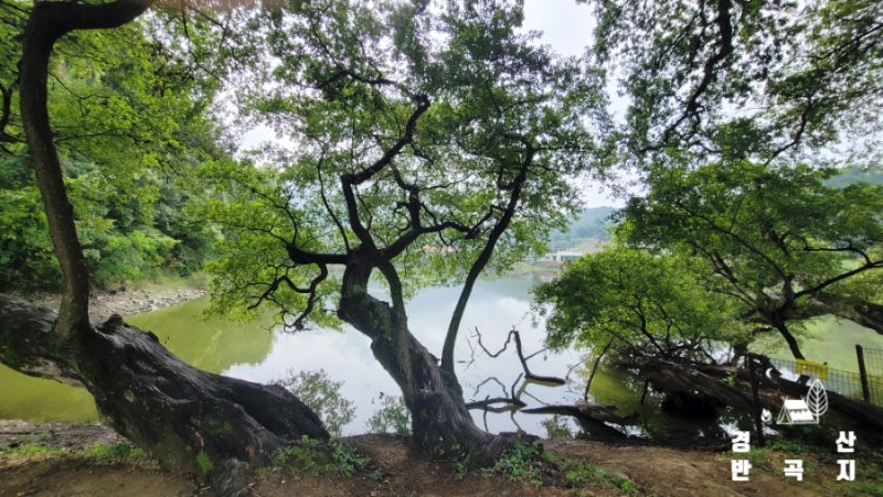 慶山必訪景點盤谷池 / 大邱近郊推薦出遊地