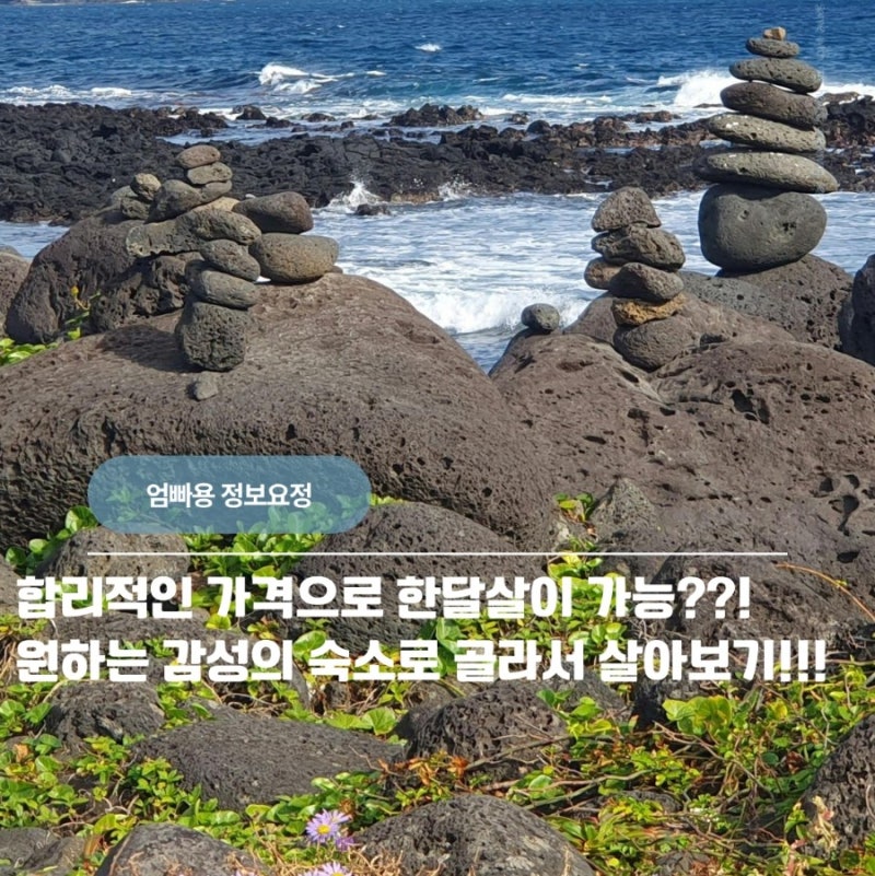 제주도 한달살기 숙소 예약 꿀팁! 미스터멘션으로 100만원대 가성비 득템 후기