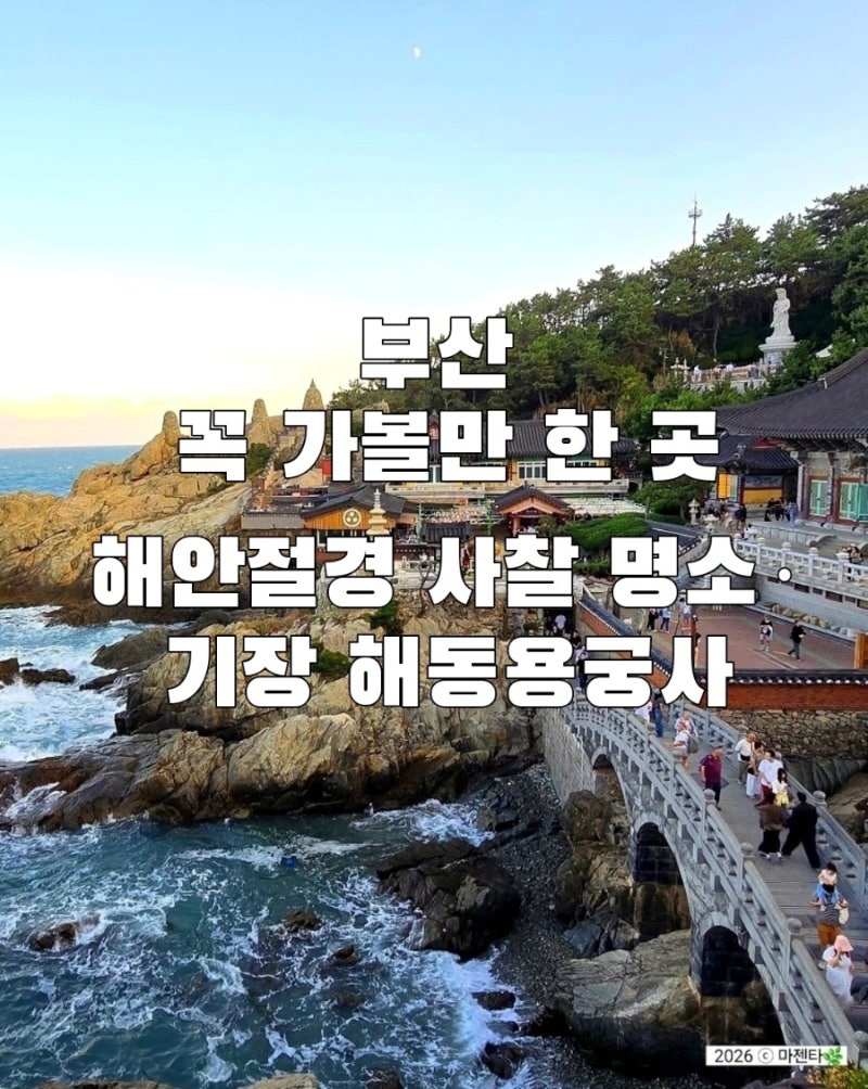 Busan Gijang Haedong Yonggungsa Temple Visit Review: A Seaside Temple Attraction, Sights, and Photo Zones