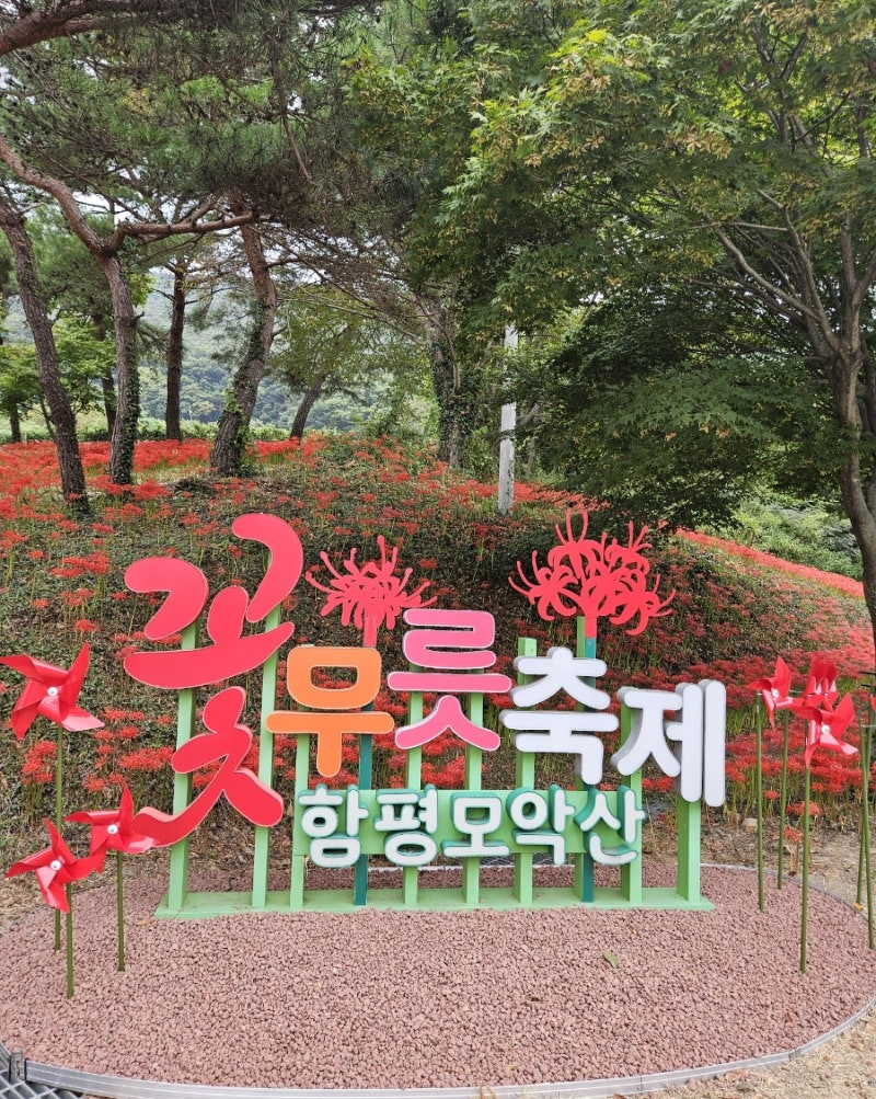 【咸平必訪景點】紅花石蒜盛開！咸平母岳山龍泉寺中秋連假參觀後記