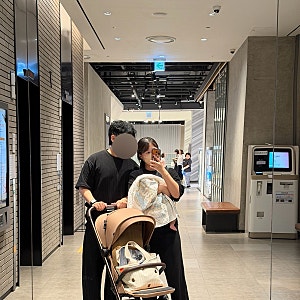 에그 스카이2 휴대용유모차