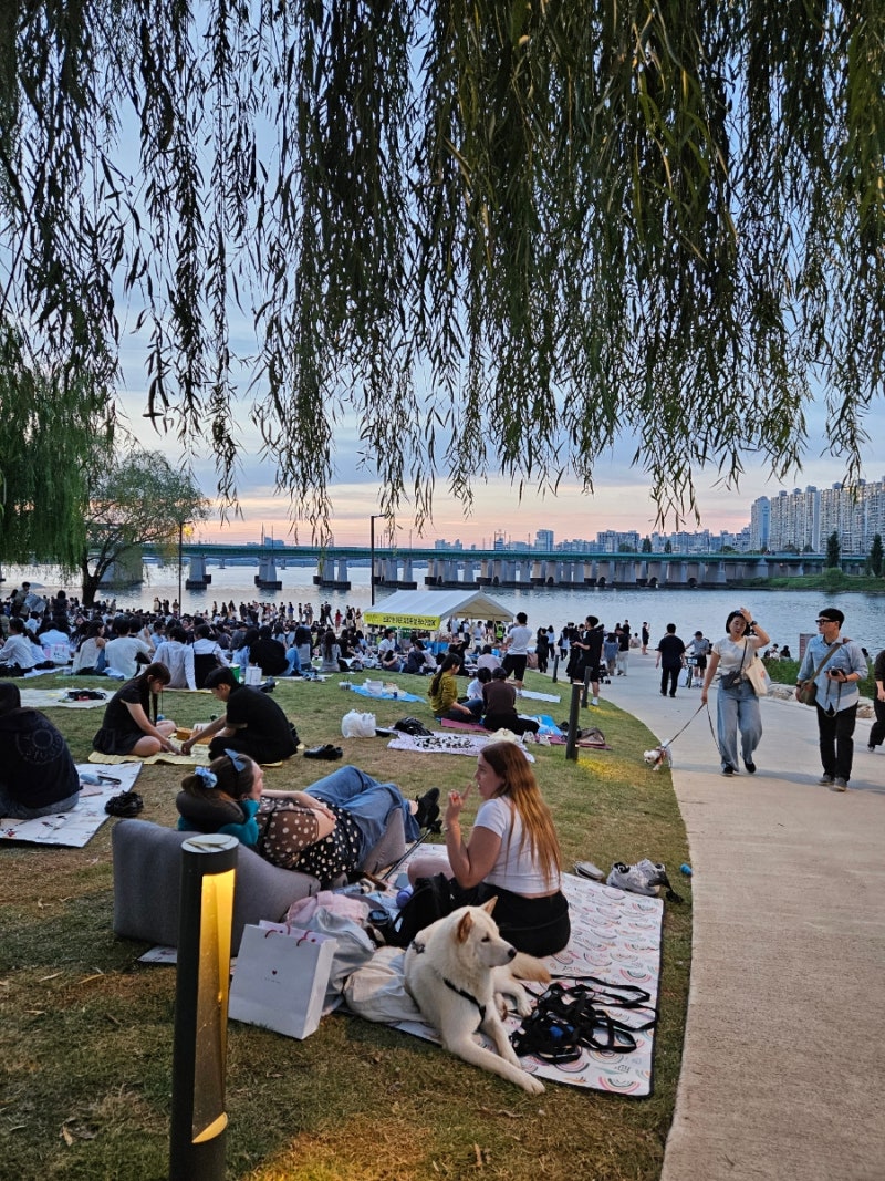 Seoul Nodeul Island Opening, Parking, Ichon Hangang Park Picnic, 2026 Seoul Light Hangang Bitseom Festival