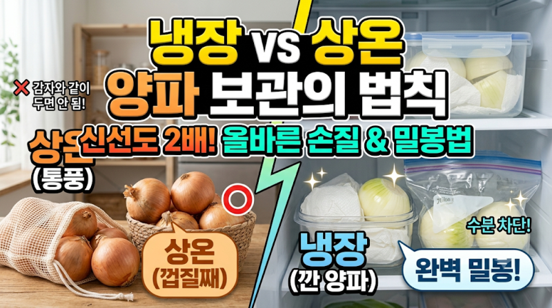 냉장 vs 상온 양파 보관 장소의 차이와 신선도 2배 높이는 손질법