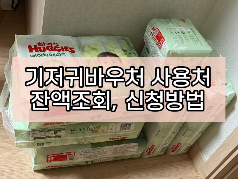 기저귀바우처 잔액조회, 사용처, 신청방법까지 내가 저소득층이라고?