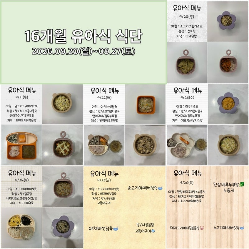 [유아식 기록 (27)-16개월 아기 유아식 메뉴] 16개월 넷째주 식단표 및 레시피