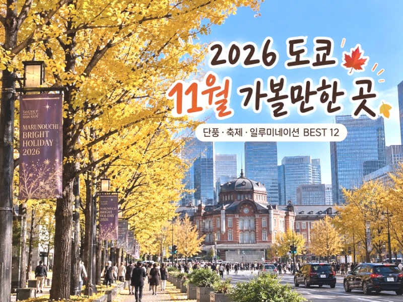 2026 도쿄 11월 가볼만한 곳ㅣ단풍·축제·일루미네이션 BEST 12
