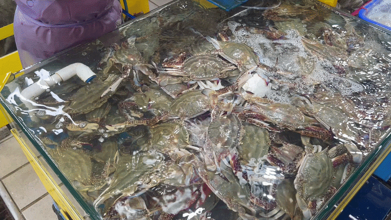 영종도 구읍뱃터 어시장 꽃게 사러 갔다가…3kg 샀는데 살이 거의 없었던 솔직 후기