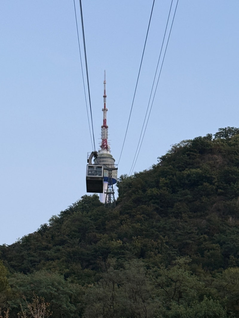 [일상] 서울 야경 명소 남산타워 아기와 함께 다녀온 서울 나들이 ㅣ 케이블카 타고 산책하고....