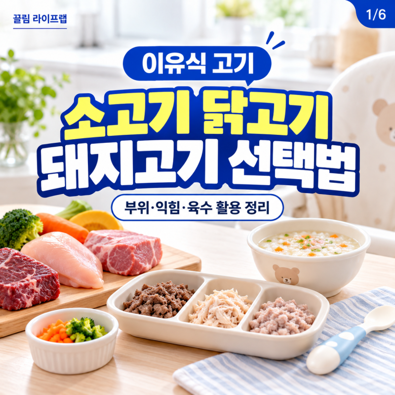 이유식 고기 뭘 먹일까? 소고기 닭고기 돼지고기 선택법과 육수 활용법