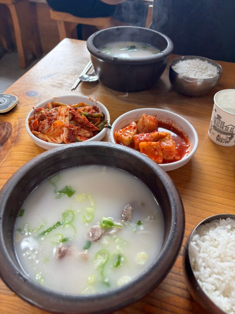 대전 만년동 신촌설렁탕 _24시운영 한밭수목원근처 맛집추천