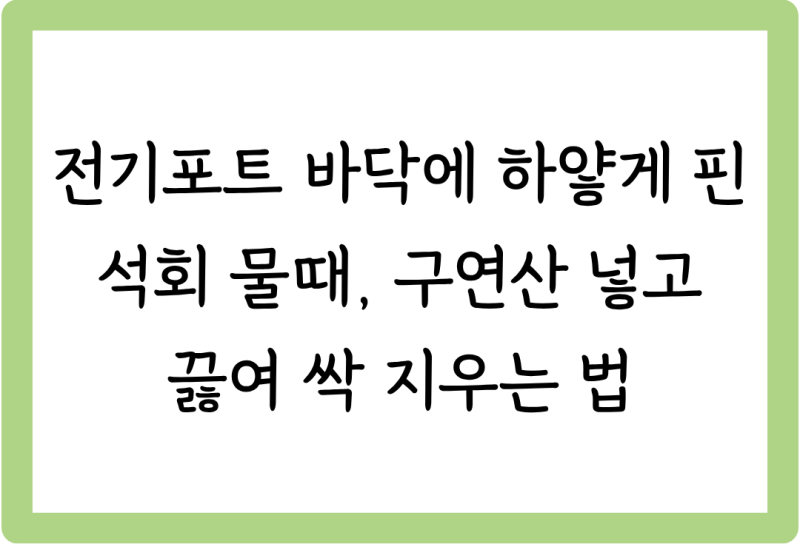 [살림꿀팁 #72] 전기포트 바닥에 하얗게 핀 석회 물때, 구연산 넣고 끓여 싹 지우는 법