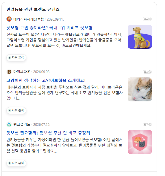 고양이 보험 비교 나이, 현명하게 선택하는 법