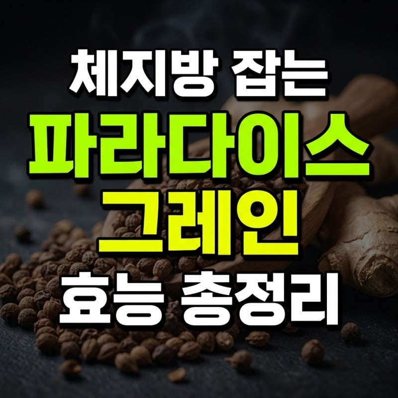 파라다이스 그레인 효능 효과 먹는법과 부작용 총정리