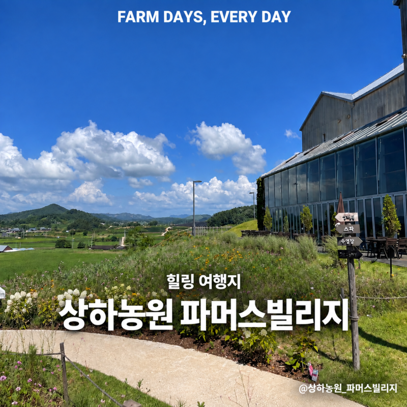 고창 상하농원 파머스빌리지 | 객실부터 피트니스까지 숙박 후기