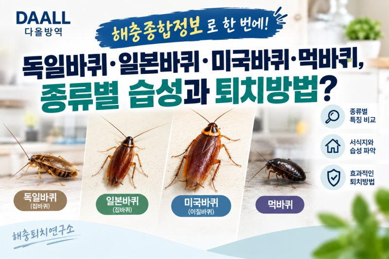 독일바퀴·일본바퀴·미국바퀴·먹바퀴, 바퀴벌레 종류별 습성과 퇴치방역 방법 정리