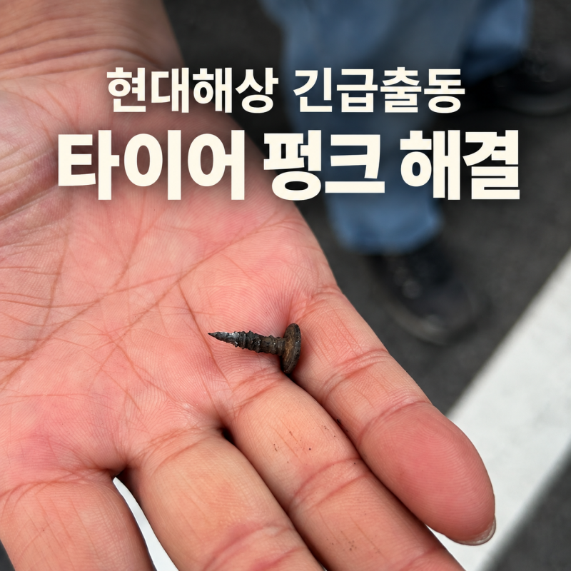 현대해상 긴급출동 후기｜타이어 공기압 경고등 무시했더니… 벌초 전날 현대해상 긴급출동....