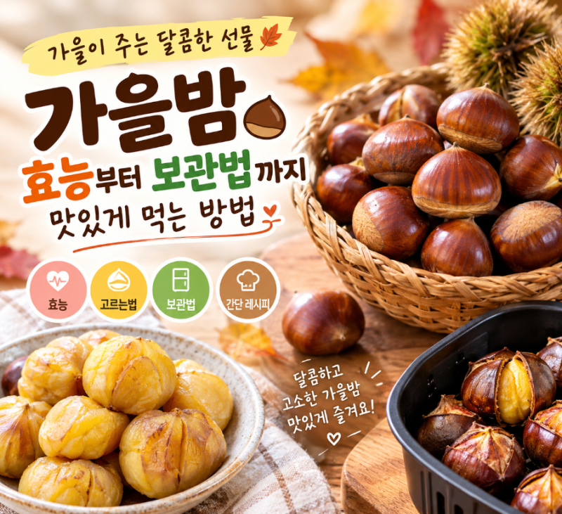 가을밤 효능부터 보관법까지, 맛있게 먹는 방법